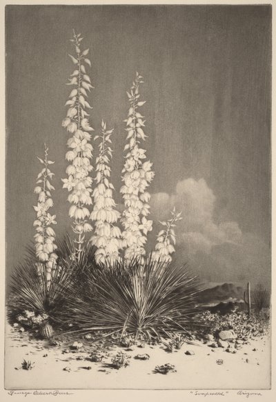  od George Elbert Burr