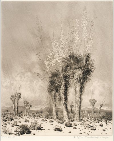 Jaro, Paradise Valley, Arizona od George Elbert Burr