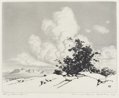 Summer Cloud, Apache Trail, Arizona od George Elbert Burr