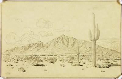 Bez názvu (přenosová kresba pro Camelback Mountain, Phoenix) od George Elbert Burr