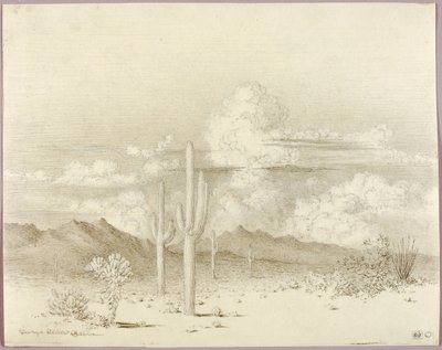 Bez názvu (přenosová kresba pro Večer, Paradise Valley, Arizona) od George Elbert Burr