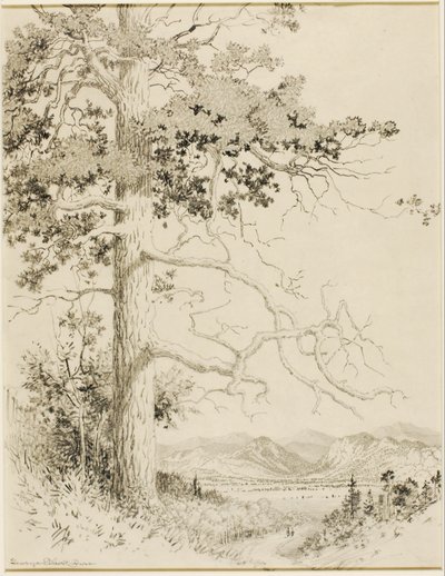 Bez názvu (převodní kresba pro Old Pine, Estes Park) od George Elbert Burr