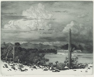Verde River, Arizona od George Elbert Burr