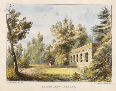 Voliéra, Kew Gardens, deska 10 z Kew Gardens: Série 24 kreseb na kameni, vyryto Charlesem Hullmandlem (1789-1850) vydáno 1820 (ručně kolorované lito) od George Ernest after Papendiek