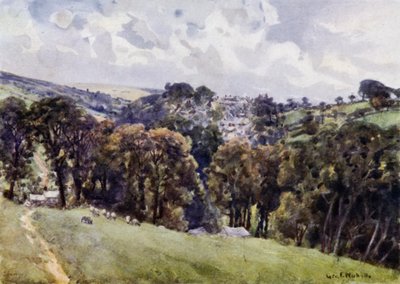Camelford (barevné lito) od George Franck Nicholls