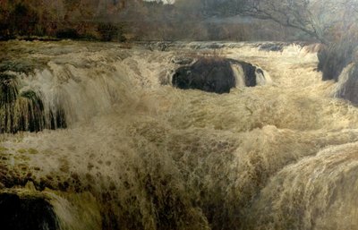 Salmon Leap, Cenarth Falls, Cardiganshire, Wales, 1878 od George Frank Miles