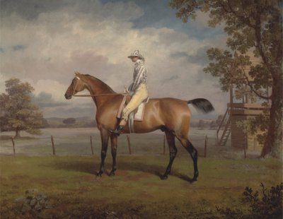 Portrét dostihového koně, možná přestrojení, majetek vévody z Hamiltonu, s Jockey Up od George Garrard