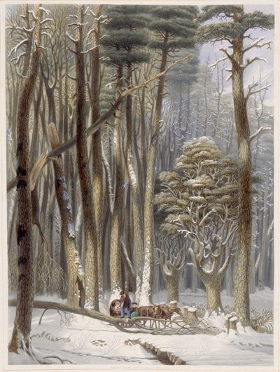 Winter, Impeded Travelers in a Pine Forest, z Harveys Scenes of the Primitive Forest of America, 1841 (ručně kolorovaná akvatinta) od George Harvey