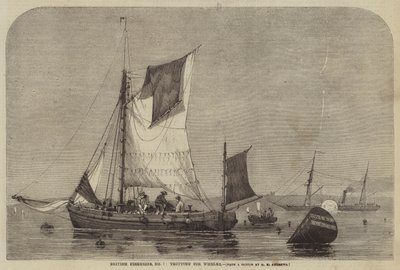 British Fisheries, č. 7, klusá pro surmovky od George Henry Andrews
