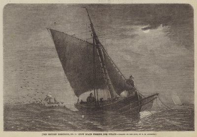 British Fisheries, č. 3, Stow Boats lovící šproty od George Henry Andrews