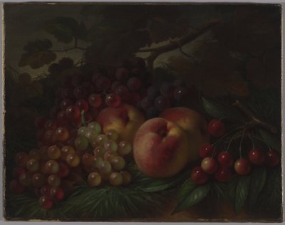 Peaches, Grapes and Cherries, c.1860-70 (olej na plátně) od George Henry Hall