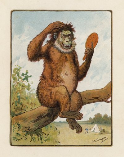 Opice (barevná litografie) od George Henry Thompson