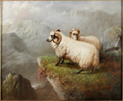 Ovce na okraji útesu, cca 1865-68 od George Hepper