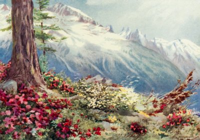 Mont Blanc a Aiguille Du Midi při pohledu shora Argentiere (barva litho) od George Jackson Flemwell