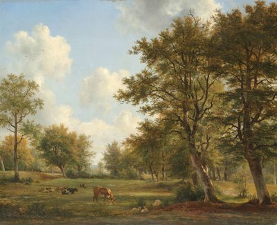 Krajina poblíž Hilversum od George Jacobus Johannes van Os