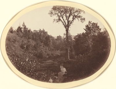 Krajina poblíž Williams College od George Kendall Warren