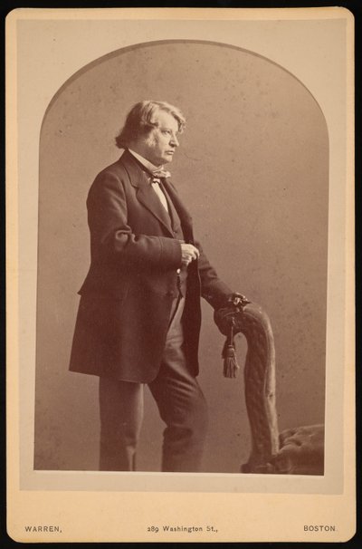 Portrét Charlese Sumnera 1811-1874, mezi 1872 a 1874. od George K Warren