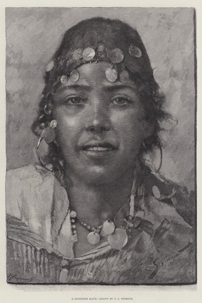 Oblíbený otrok od George L. Seymour