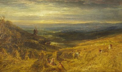 A Surrey Cornfield, kolem roku 1877 (olej na plátně) od George Lucas