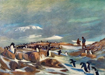Návrat tučňáků, c1908, 1909. od George Marston