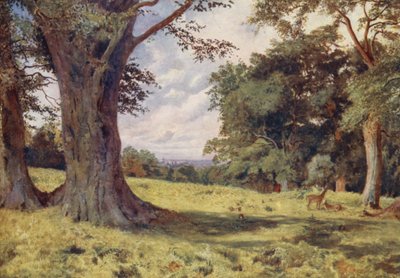Polana ve Windsorském parku (barevná litografie) od George Moore Henton