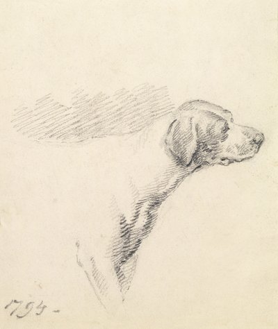 Studie psa, 1794 od George Morland