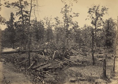 Bitevní pole u Atlanty, Georgie, 22. července 1864, č. 1 od George N. Barnard