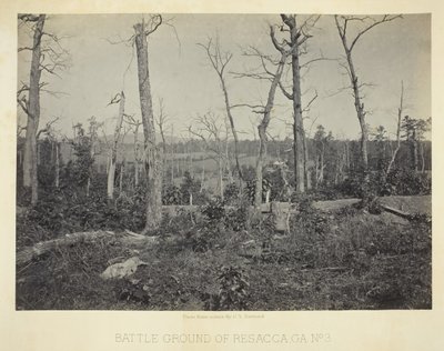 Battle Ground of Resacca, GA, č. 3, 1866. od George N. Barnard
