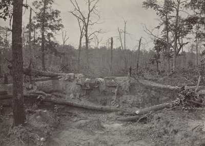 Kostel Battlefield of New Hope, Georgia, č. 2, 1865-1866. od George N. Barnard