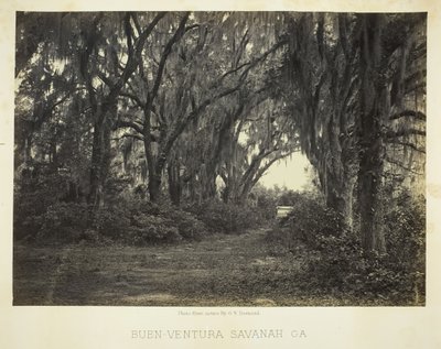 Buen-Ventura Savannah, Ga., 1866. od George N. Barnard