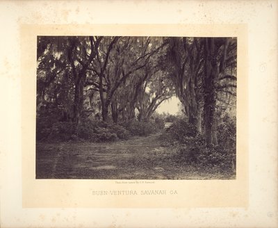 Buen-Ventura, Savannah, Georgie od George N. Barnard