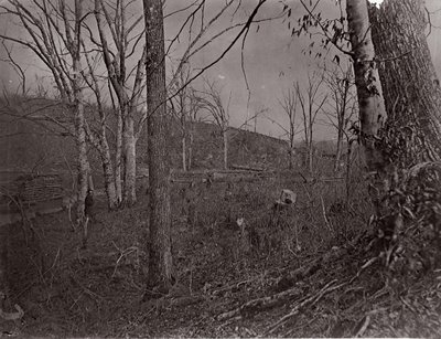 Bull Run, Virginie, 1861-62. od George N. Barnard