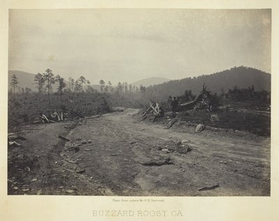 Buzzard Roost, GA od George N. Barnard