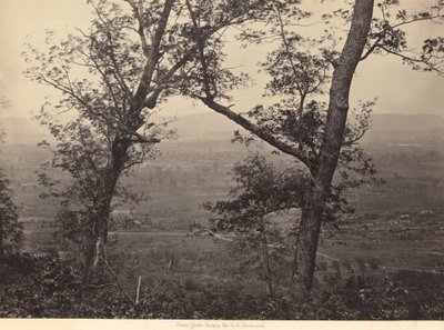 Knob Orchard z Mission Ridge, 1864-1866 (foto) od George N. Barnard