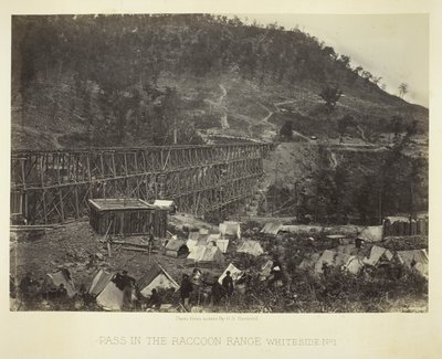 Průsmyk v pohoří Raccoon Range, Whiteside č. 1 od George N. Barnard