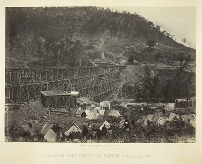 Průsmyk v Raccoon Range, Whiteside č. 1, 1864. od George N. Barnard
