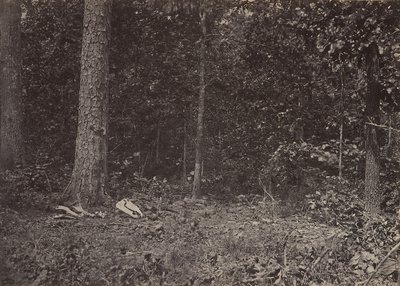 Scéna smrti generála McPhersona, 1864 nebo 1866. od George N. Barnard