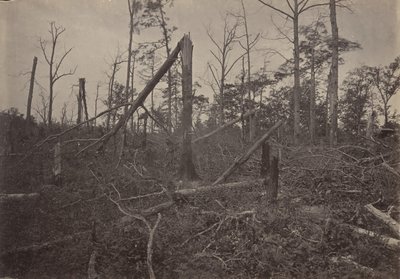 The Hell Hole New Hope Church, Georgia, 1860s. od George N. Barnard