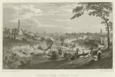 Dublin z parku Phoenix od George Petrie