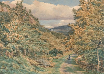 Cesta poblíž Bettws-y-Coed od George Price Boyce