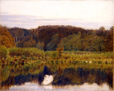 Abinger Mill Pond, Surrey - Ráno v pozdním podzimu (akvarel na papíře) od George Price Boyce