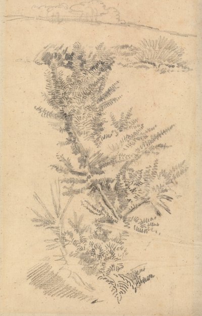 Studium stromů atd. na louce od George Richmond
