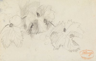 Studie listů 1 od George Romney
