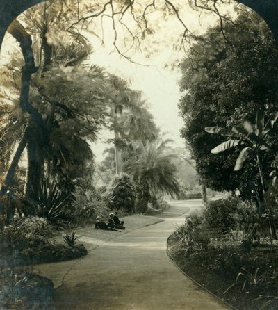 Cesta v Queens Park, Brisbane, Austrálie, c1909. od George Rose