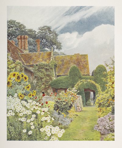 Cleeve Prior, Sunflowers, ilustrace v 