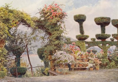 Italské zahrady: (barevná litografie) od George Samuel Elgood