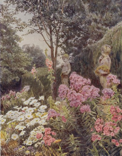 Phlox a Daisy od George Samuel Elgood