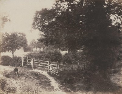 Zelené louky od George Shadbolt