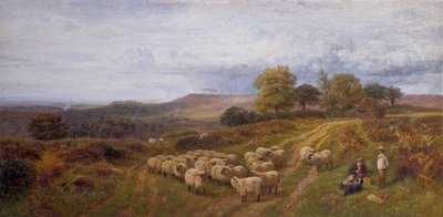 Rozsáhlá krajina s pastýřem a jeho stádem ovcí, Surrey (olej na plátně) od George Shalders
