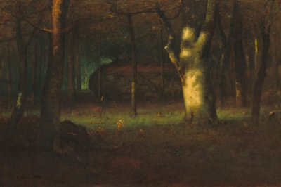 Západ slunce v lese, 1891 od George Snr. Inness